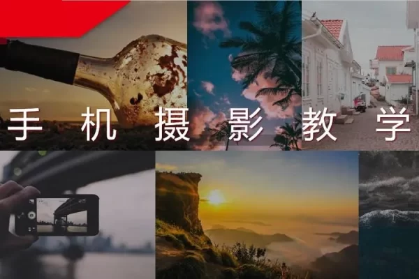 手机摄影0基础快速入门，手机摄影达人必学，不限手机任何品牌手机都可学