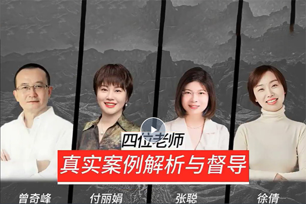 真实案例解析与督导