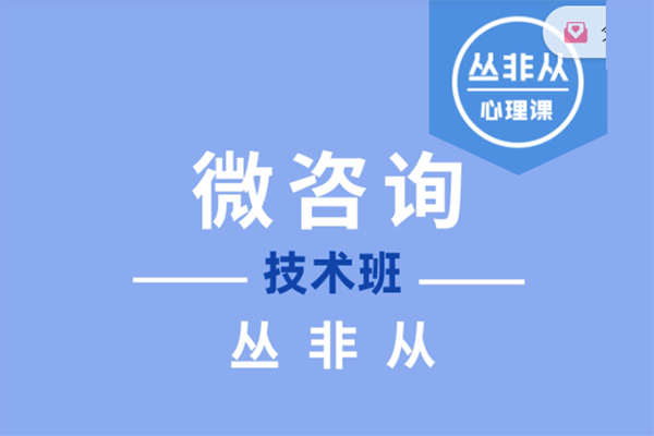 微咨询技术班2023【丛非从】