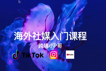 跨境小P哥海外社媒运营课，理论+演练，全流程