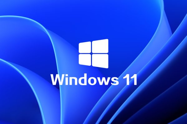 Win11 v23H2(22631.3880)不忘初心纯净版