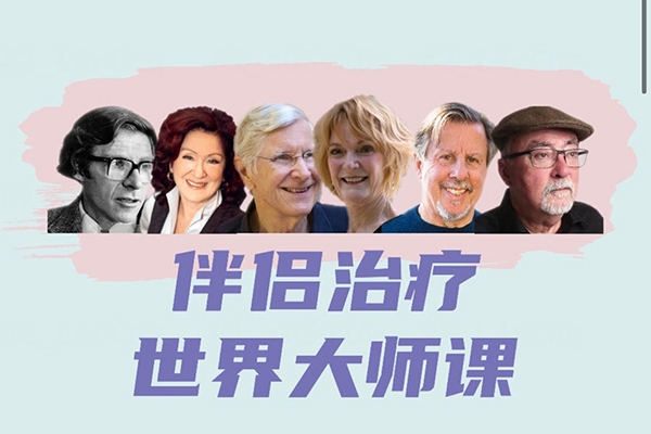 伴侣治疗世界大师课，重建亲密关系的六个思路，六大流派视频24讲
