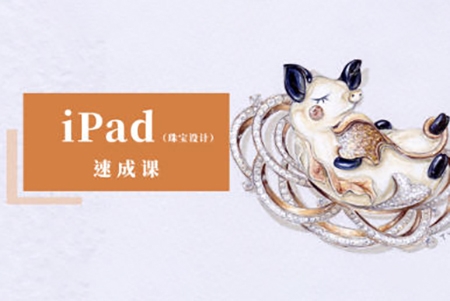 YC ipad珠宝设计手绘速成课2022年结课