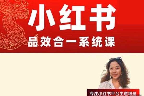 Dian品牌营销-小红书品效合一系统教学