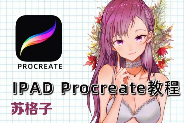 苏格子IPAD绘画procreate基础课2022年