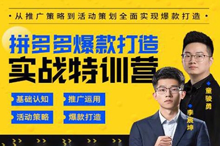 拼多多单品爆款打造课程(更新6月)，充分应用你的流量，增长实战培训