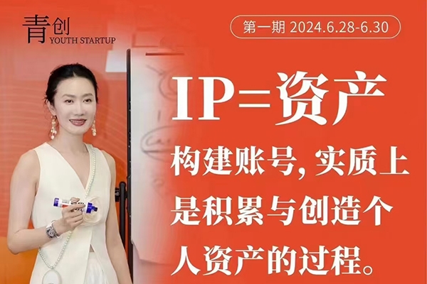 操盘手流量实战变现营