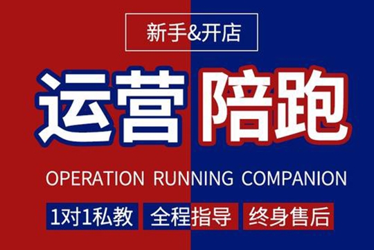 淘宝天猫实战陪跑班，店铺运营终结者，淘宝运营必修课
