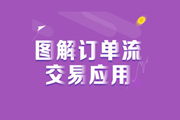 《图解订单流交易》全集16讲
