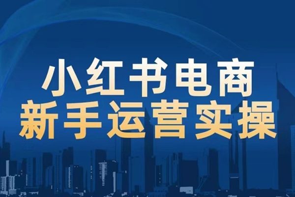 1V1小红书电商运营实操课，新手小白必学课