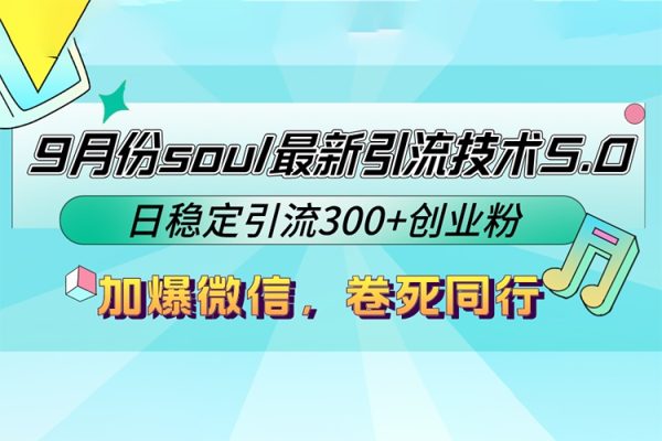 Soul最新引流技术5.0项目拆解