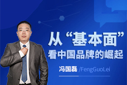 财学堂冯国磊《中国品牌的基本面分析一》系统课（14讲）