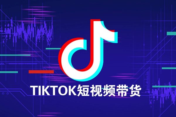 TK短视频运营：网络搭建、账号运营、视频制作与发布、变现策略