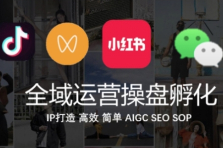 全域运营操盘(抖音+私域+小红书)，IP打造高效简单