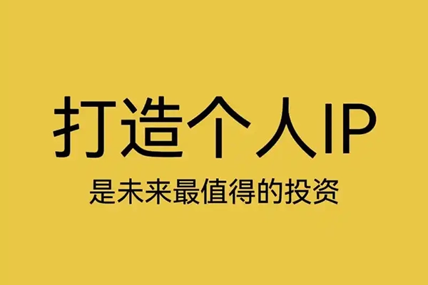 狼团联盟个人IP打造，个人IP变现全攻略：私域运营,微信技巧,公众号运营一网打尽,助力品牌推广