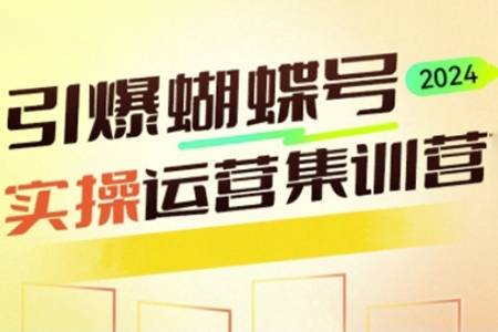 引爆蝴蝶号实操运营，助力你深度掌握蝴蝶号运营，实现高效实操，开启流量变现之路