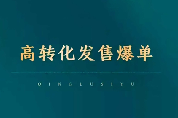 高转化发售爆单，引爆私域成交，打破运营全链
