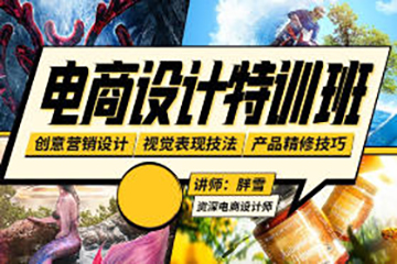 胖雪电商设计速成班