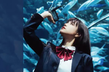 衣刀君摄影课2024