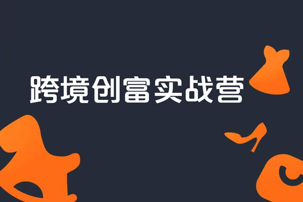 跨境创富实战营，独立站+TikTok+YouTube+谷歌广告，经营策略，店铺运营，精准选品，高效引流