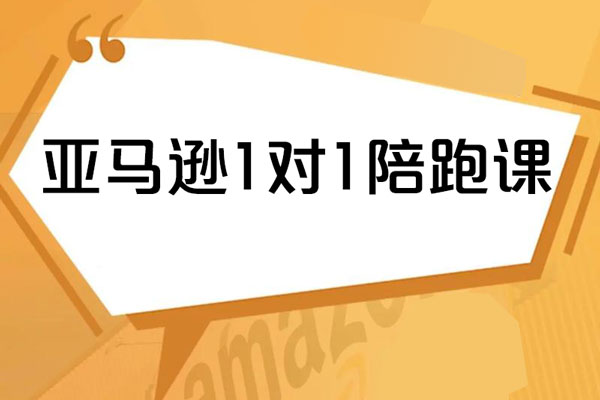 亚马逊1对1陪跑课(FBA/FBM精铺)跨境亚马逊教程