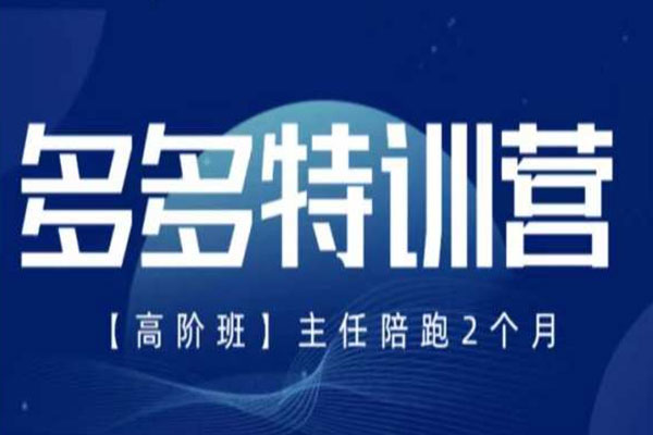 纪主任拼多多特训营，经验分享实操，课程时长拉满，干货拉满(更新25年4月)