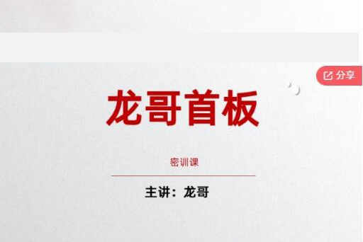 飞龙游资团龙哥首板密训课（2024新版）