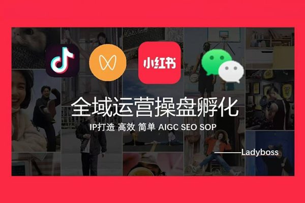 Ladyboss全域运营操盘孵化IP打造，高效 简单 AIGC SEO SOP