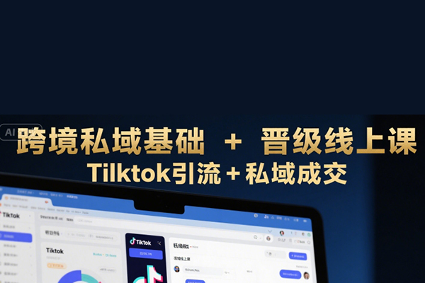 跨境私域基础+晋级线上课，Tilktok引流+私域成交