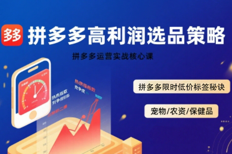 久号老师·拼多多选品暴利技术实战课，拼多多高利润选品策略，拼多多限时低价标签秘诀