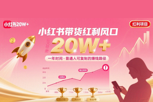 一年时间靠小红书带货项目年入20w+，最不能错的大红利项目