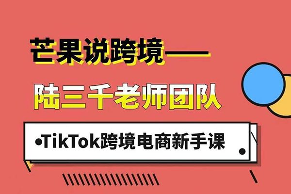 陆三千TikTok跨境电商新手课，TikTok从入门到盈利的全流程！2025年最新最有效的运营策略和平台规则。