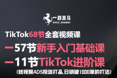黑马跨境TikTok全套视频课，新手入门+进阶课，短视频ADS