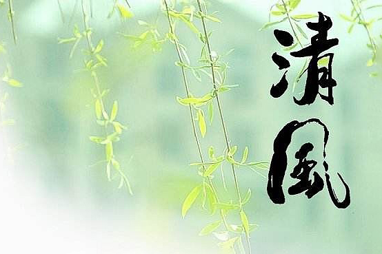 清风主讲游资短线交易内部视频，龙头战法实战课程