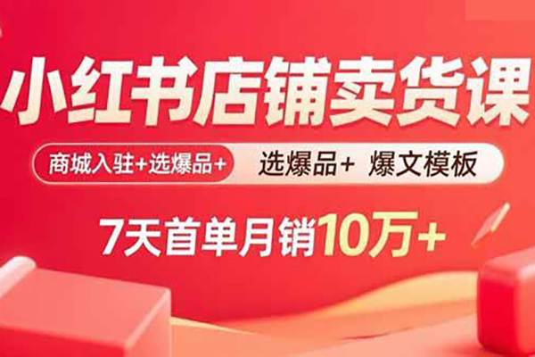 小红书电商掘金课，小红书电商项目玩法全流程拆解