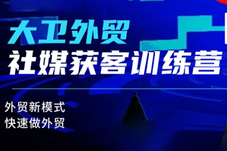大卫老师·外贸社媒获客独家训练营，外贸新模式，快速做外贸