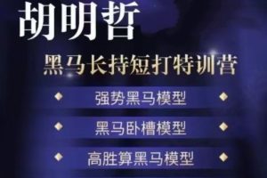 胡明哲-黑馬長(zhǎng)持短打特訓(xùn)營(yíng)