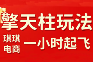 琪琪電商·拼多多擎天柱玩法（更新2026）